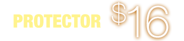 Protector Car Wash $16